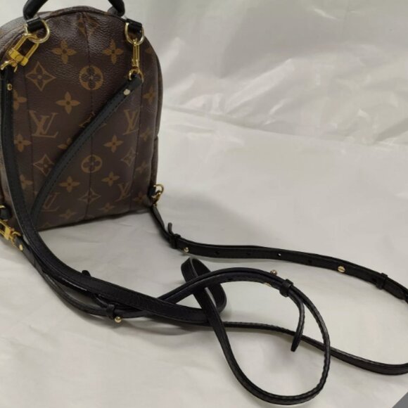 Mini Palm Springs Louis Vuitton Backpack - Picture 9 of 14